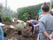 Renee demonstrates good planting practices