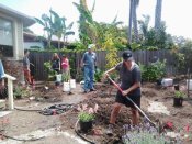 We planted a total of 8 trees, 8 edible perennials, and 12 drought tolerant or native plants that day.