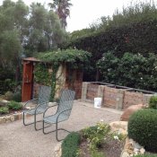 Happy roses and fruit trees get watered with greywater.