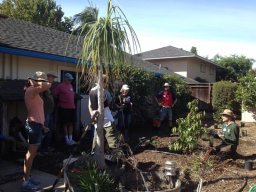 Getting the low down on the back yard plants