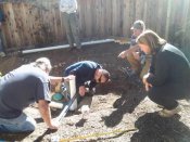 fitting the overflow pipe into the basin.